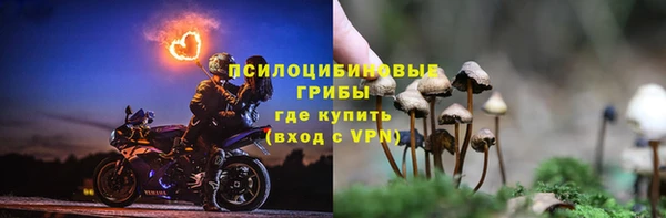 дмт Баксан