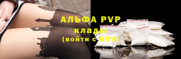 PSILOCYBIN Балабаново