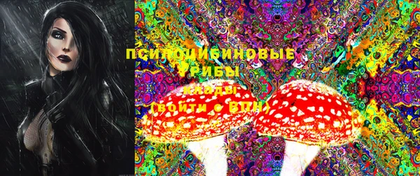PSILOCYBIN Балабаново