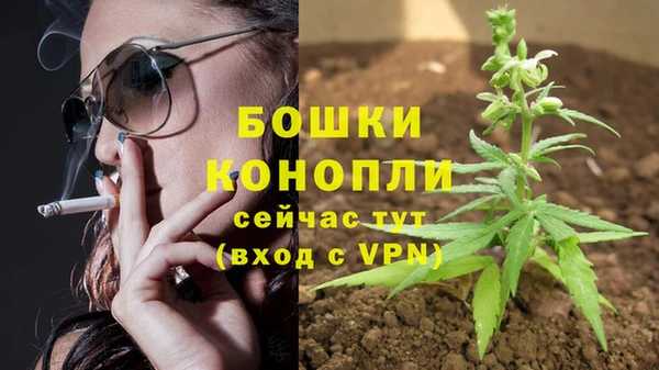 PSILOCYBIN Балабаново