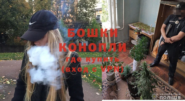 PSILOCYBIN Балабаново