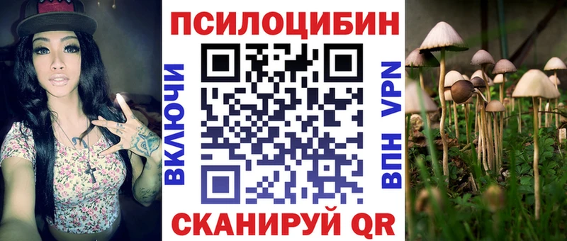 Галлюциногенные грибы мухоморы  купить наркотики сайты  Курильск 